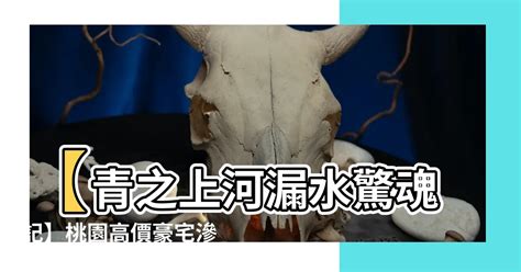 青之上河漏水 北方樓